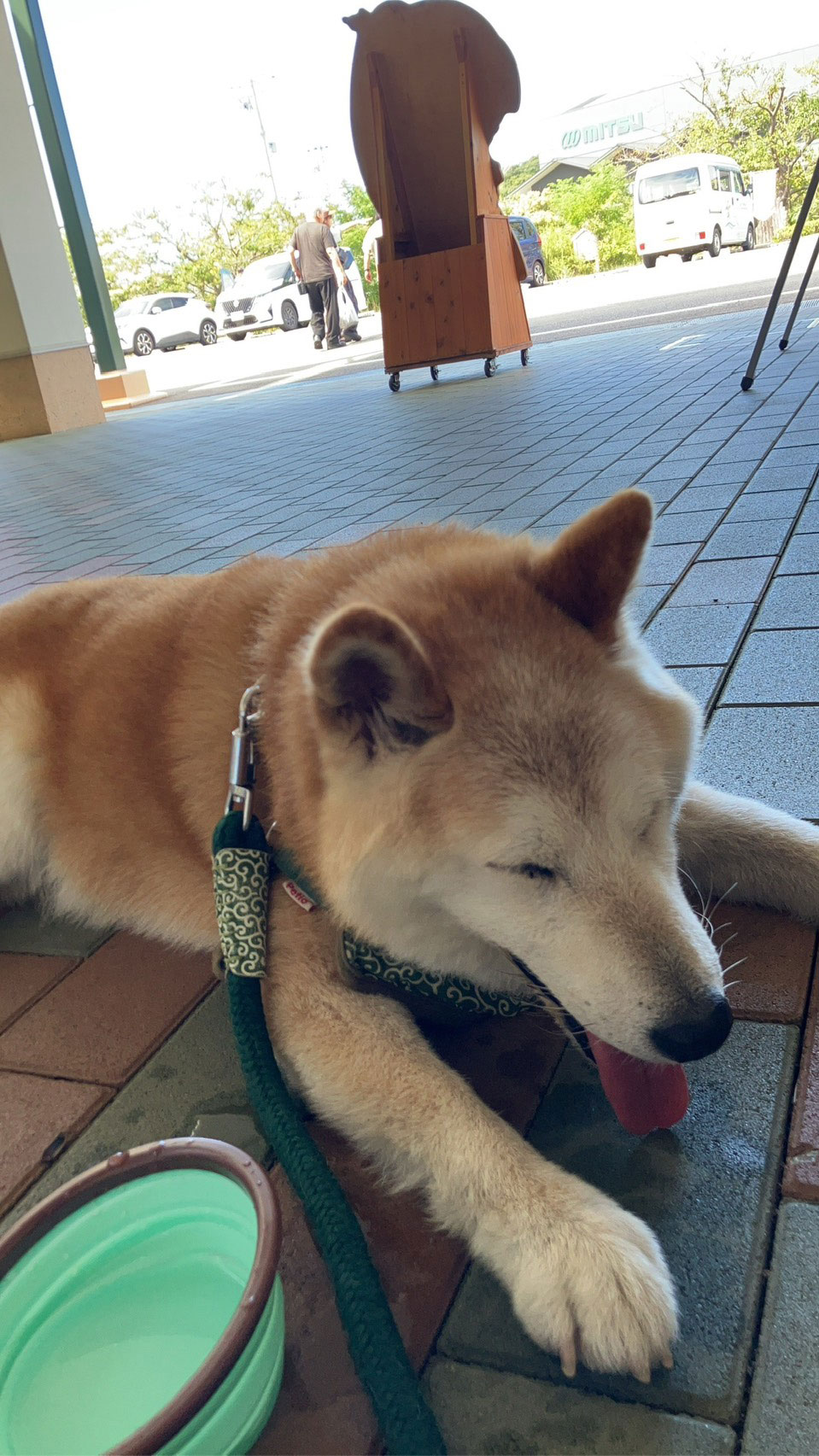 大福の写真 2